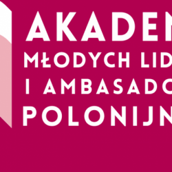 Stowarzyszenie Otwarty Dialog rekrutuje do Akademii Młodych Liderów i Ambasadorów Polonijnych