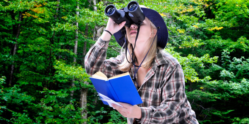 Coraz więcej Holendrów obserwuje ptaki. To fenomen birdwatchingu